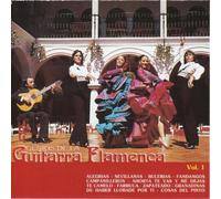 Diverse - Guitarra Flamenca 1