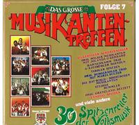 Diverse Interpreten - Das grosse Musikantentreffen - Folge 7 [Vinyl LP] [VINYL]