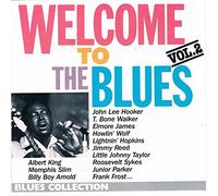 Diverse - Welcome to the Blues 2