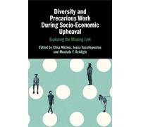 Diversity and Precarious Work During Socio-Economic Upheaval: Exploring the Missing Link