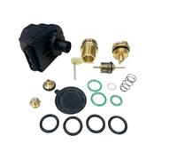 Diverter Valve KIT 172507 & Motor 172505 for Ideal MINI HE C24 C28 C32