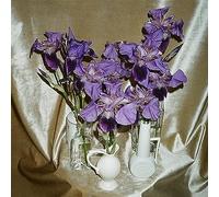 Dives - Wanna Take You There [VINYL]