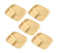 Divided Plates for Adults, Serving Dish with 3 Compartments - 5 Pieces Section Plates | For Vegetables Salad Rice Cheese Fruit Meals Adult Kitchen