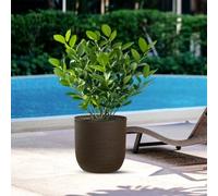 DIVINA GARDEN Resin Vase Outdoor Indoor for Plants Design Cylinder d.35x34h Raph