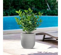 DIVINA GARDEN Resin Vase Outdoor Indoor for Plants Design Cylinder d.35x34h Raph