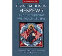Divine Action in Hebrews: And the Ongoing Priesthood of Jesus (The Scripture Collective Series)