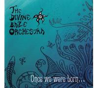 Divine Baze Orchestra - Once We Were Born