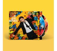 The Divine Comedy - Charmed Life - The Best Of The Divine Comedy