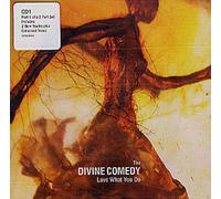 Divine Comedy - Love What You Do [CD 1]