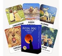 Divine Dog Wisdom Cards