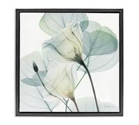 'Divine Fate Petals'| Floating Frame Canvas Art