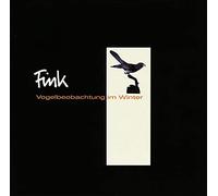 Divine Fits - A Thing Called Divine Fits