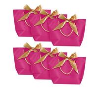 Divine Gifts luxury gift bags(Pink, Large, Multi-pack) for: weddings,birthdays,hen/stag/dinner parties,housewarmings,baby showers,Christmas presents,Valentines,Bridesmaid/Groomsman gifts,party bags