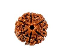 Divine Hindu Original/Nepali Rudraksha Bead - A Symbol of Divine Power | Lab Certified |, M, Rudraksha, No Gemstone