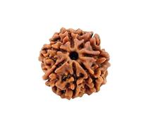 Divine Hindu Original/Nepali Rudraksha Bead - A Symbol of Divine Power | Lab Certified |, M, Rudraksha, No Gemstone