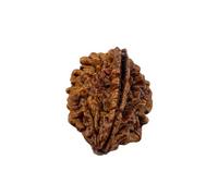 Divine Hindu Original/Nepali Rudraksha Bead - A Symbol of Divine Power | Lab Certified |, M, Wood, No Gemstone