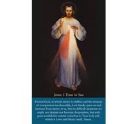 Divine Mercy, Jesus I trust in You, LAMINATED prayer card, 3 x 5 inches (3-pack) plus two free bonus cards