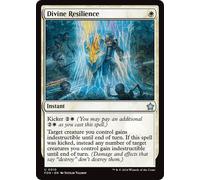 Divine Resilience | Foundations