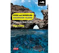 Diving and Snorkelling Ascension Island: Guide to a Marine Life Paradise