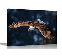 Diving Eagle Canvas Wall Art Prints Animal Pictures Stretched and Framed Poster Art for Home Livingroom Bird Artwork Large 76 x 50cm (30 x 20 inches)