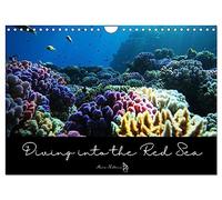 Diving into the Red Sea (Wall Calendar 2027 DIN A4 landscape), CALVENDO 12 Month Wall Calendar: Dive into the colorful underwater world of the Red Sea ... facts about this fascinating ecosytem