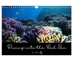 Diving into the Red Sea (Wall Calendar 2027 DIN A4 landscape), CALVENDO 12 Month Wall Calendar: Dive into the colorful underwater world of the Red Sea ... facts about this fascinating ecosytem