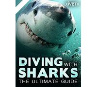 Diving with Sharks: the Ultimate Guide