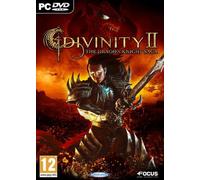 Divinity II 2 The Dragon Knight Saga Game PC