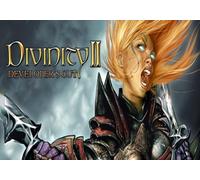Divinity II: Developer's Cut (PC) GOG.com Key - GLOBAL