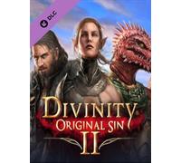 Divinity: Original Sin 2 - Divine Ascension - Steam Gift - EUROPE