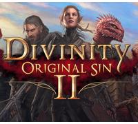 Divinity: Original Sin 2 - Divine Edition Steam Account