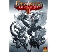 Divinity: Original Sin 2 - Divine Edition Steam Gift GLOBAL
