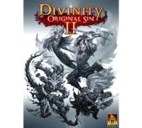 Divinity: Original Sin 2 - Divine Edition Steam Key GLOBAL