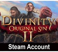 Divinity: Original Sin 2 Steam Account