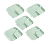 Division Plates | 3 Compartment Serving Dish | 5 Piece Divider Plates - For Adults Home Kitchen Fruit Vegetables Salad Rice Cheese Cake
