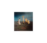 DIVORCE: DRIVE TO GOLDENHAMMER - CD BRAND NEW