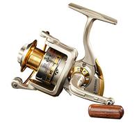 Diwa Spinning Fishing Reels for Saltwater Freshwater 1000 2000 3000 4000 5000 6000 Series Left/Right Interchangeable Trout Spinning Reel Carp Fishing Spool 10 Ball Bearings Light and Smooth