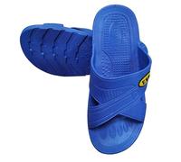 DIWANGQIANG Antistatic Slippers | ESD Safe Conductive Slippers | Provides Grounding for Static Control | Unisex, bule, 41 EU