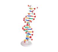 diwedaso Human Genes Learning Kit Educational Tool Driven By Double