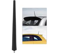 Dixhills Car Antenna Aerial Mast Compatible with 500/595/695 312 500C/595C/695C 312 Car Stereo AM FM Radio Antenna Replacement for 51890258 51910790 52019353