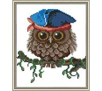 DIY 11CT Stamped Cross Stitch Kits Fabric Crafts Needlework Full Range of Embroidery Starter Kits for Beginners Pre-Printed Patterns - Owl 24X28cm