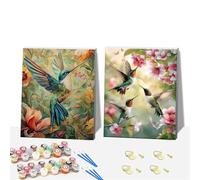 DIY 2 Pcs Bird Paint by Numbers for Adults,Wooden Framed Painting by Number Kits on Canvas,Acrylic Color by Numbers for Adult Beginner,Gifts Decor for Home Wall Room (Bird)