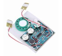 DIY 30 Second Recording Playback Device Voice Message Recorder Customizable Audio Toy for Crafts Greetings and Decor (Extended cable version)