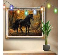 DIY 5D Diamond Art Painting Kits for Adults,Black Horse,Landscape Cross Stitch Diamond Art Kits for Home Wall Decor Gift,Crystal Art and Crafts Embroidery Pictures for Beginner,(40x30cm) 511N-7762