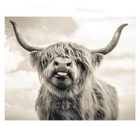 DIY 5D Diamond Painting Art Animal Highland Cow Full Diamond Round Diamond Painting By Number Adults and Children Set Crystal Cross Stitch Family Wall Decoration Gift ( Color : 1 , Size : 50x70cm )