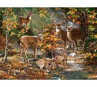 DIY 5D Diamond Painting Art Full Drill Embroidery Deer Wallpaper Arts Craft Supply Canvas Diamond Painting Home Kitchen Hotel 30x40cm