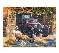 DIY 5D Diamond Painting by Number Kit Car Man Dog 40x50cm Full Drill 5D Diamond Art Beginner Crystal Rhinestone Embroidery Cross Stitch Art Craft for House Living Room Decoration Gifts (16x20in)