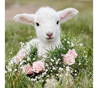 DIY 5D Diamond Painting by Numbers Kits, Little Sheep Cute Animal and Flowers, Full Drill Rhinestones Paint with Diamonds Crystal Diamond Art (Sheep)