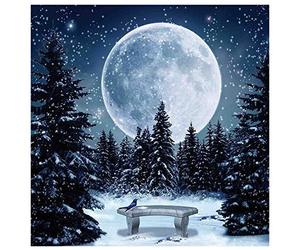 DIY 5D Diamond Painting by Numbers Kits, Moon Trees Snow Bird Starry Nigth, Full Drill Rhinestones Paint with Diamonds Crystal Diamond Art (Moon)