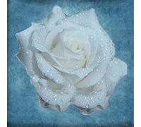 DIY 5d Diamond Painting Full Drill Kits for Adults/ Kids White Flower Crystal Rhinestone Cross Stitch Diamond Embroidery Mosaic Pictures Arts Crafts for Home Wall Decor Gift -Square drill,50x50cm